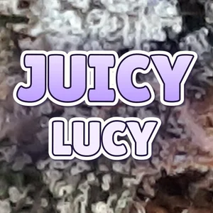 Juicy Lucy Cannabis Strain