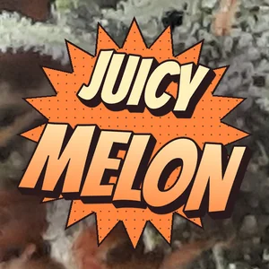 Juicy Melon Cannabis Strain