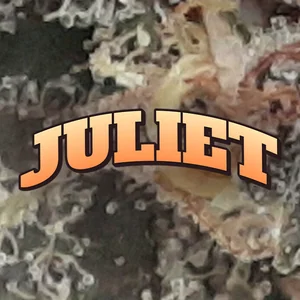 Juliet Cannabis Strain