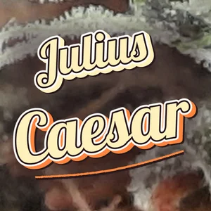 Julius Caesar Cannabis Strain