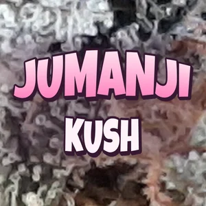 Jumanji Kush Cannabis Strain