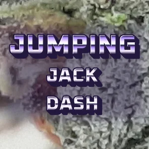 Jumping Jack Dash Cannabis Strain