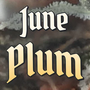 June Plum Cannabis Strain
