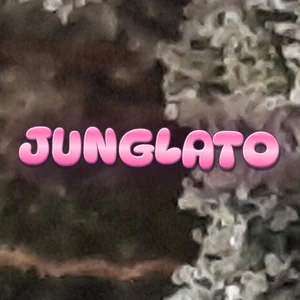 Junglato Cannabis Strain