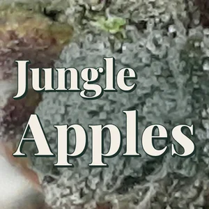 Jungle Apples Cannabis Strain