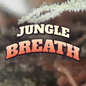 Jungle Breath Cannabis Strain