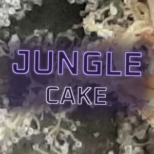 Jungle Cake Cannabis Strain