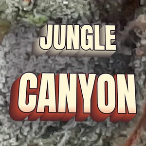 Jungle Canyon Cannabis Strain