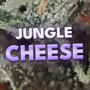 Jungle Cheese Cannabis Strain