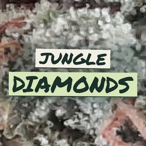 Jungle Diamonds Cannabis Strain