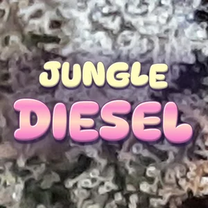 Jungle Diesel Cannabis Strain