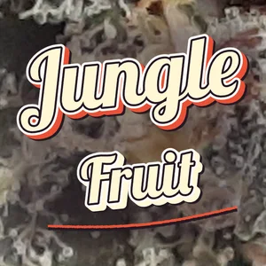 Jungle Fruit Cannabis Strain