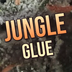 Jungle Glue Cannabis Strain