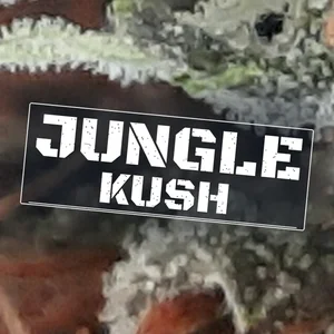 Jungle Kush Cannabis Strain