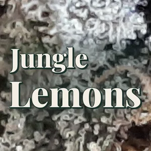 Jungle Lemons Cannabis Strain