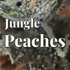 Jungle Peaches Cannabis Strain