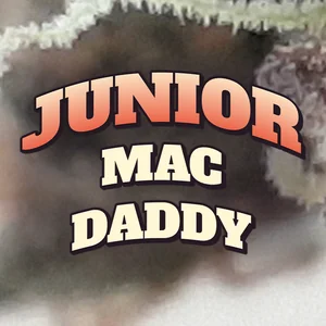 Junior MAC Daddy Cannabis Strain
