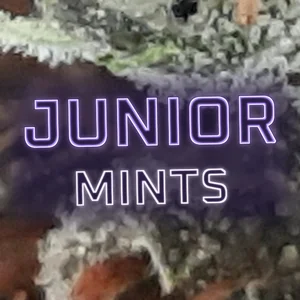 Junior Mints Cannabis Strain
