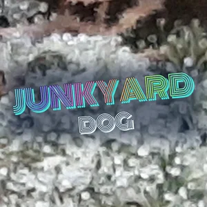 Junkyard Dog Cannabis Strain