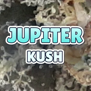 Jupiter Kush Cannabis Strain