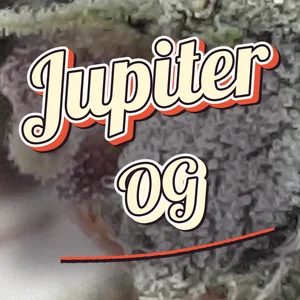 Jupiter OG Cannabis Strain