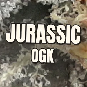 Jurassic OGK Cannabis Strain