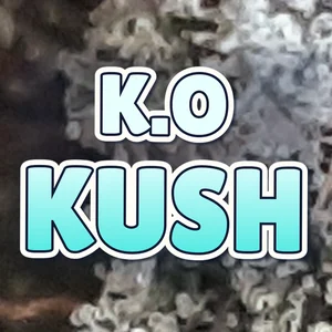 K.O Kush Cannabis Strain