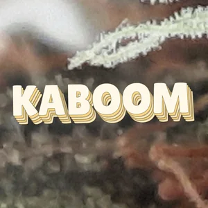 Kaboom Cannabis Strain