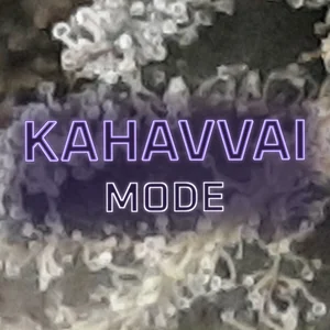 Kahavvai Mode Cannabis Strain