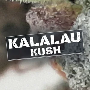 Kalalau Kush Cannabis Strain