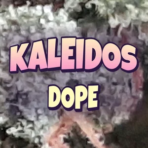 Kaleidos Dope Cannabis Strain