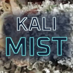 Kali Mist Cannabis Strain
