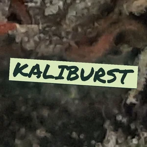 Kaliburst Cannabis Strain