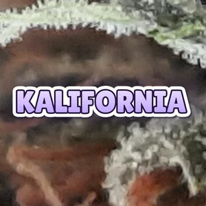 Kalifornia Cannabis Strain