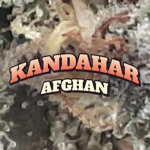 Kandahar Afghan Cannabis Strain
