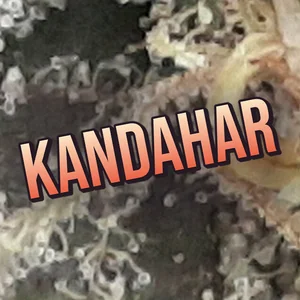 Kandahar Cannabis Strain