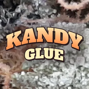 Kandy Glue Cannabis Strain