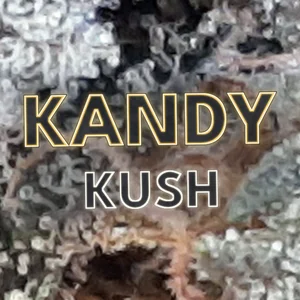 Kandy Kush Cannabis Strain