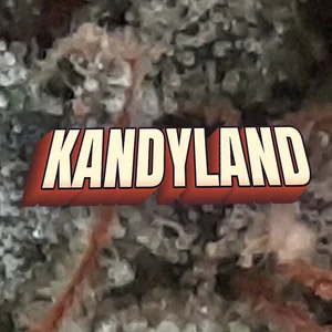 Kandyland Cannabis Strain