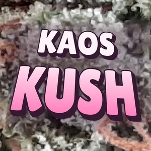 Kaos Kush Cannabis Strain