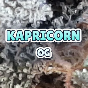 Kapricorn OG Cannabis Strain