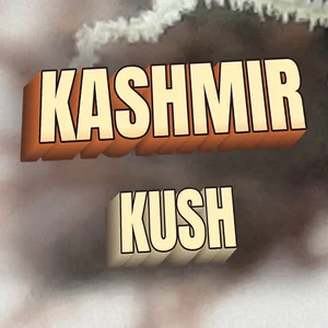 Kashmir Kush Cannabis Strain