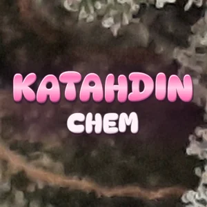 Katahdin Chem Cannabis Strain