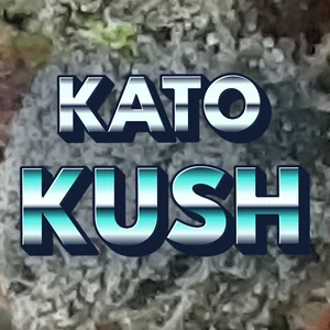 Kato Kush Cannabis Strain