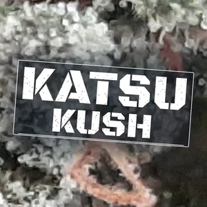 Katsu Kush Cannabis Strain