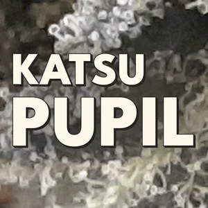Katsu Pupil Cannabis Strain