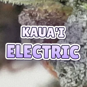 Kaua'i Electric Cannabis Strain