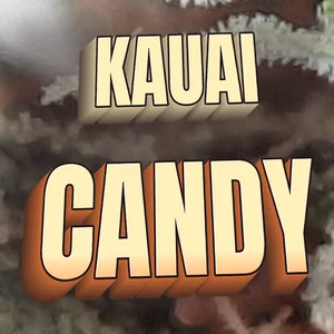 Kauai Candy Cannabis Strain