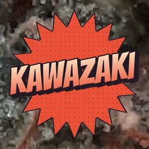 Kawazaki Cannabis Strain
