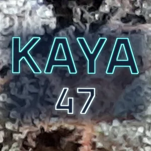 Kaya 47 Cannabis Strain